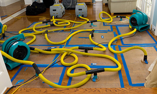 Professional Water Damage Repair technician working in Springboro, PA